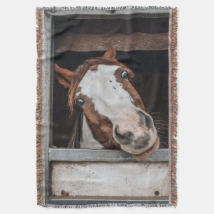 Ditt Häst Foto Ponny Anpassad Equestrian Present Filt