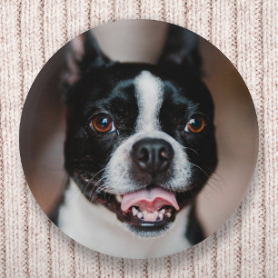 Ditt Hund-foto Uppladdning av matningsbild för P Knapp