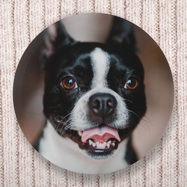 Ditt Hund-foto | Uppladdning av matningsbild för P Knapp (Skapare uppladdad)