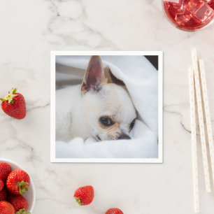 Ditt husdjur hund valp anpassad bild chihuahua pappersservett
