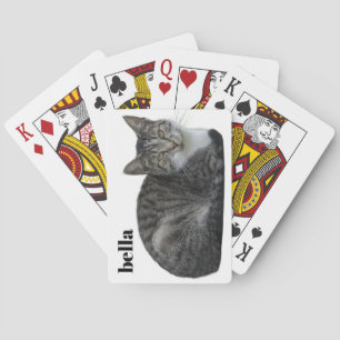 Ditt kattnamn och husdjurs fotomall casinokort