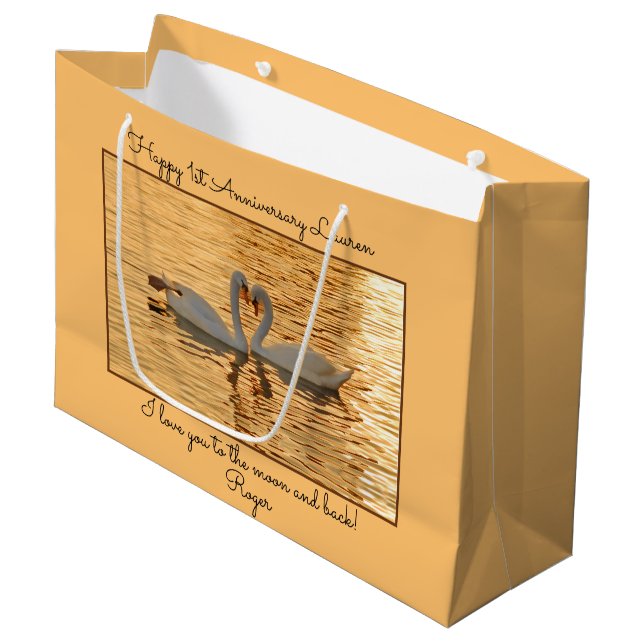 Ditt Msg Svan par vid Sunset Animal Fotography (Framsidan Vinklad)