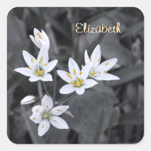Ditt namn på Wildblomsklustermakro Photo Stickers Fyrkantigt Klistermärke
