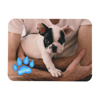 Ditt Pet-foto med Namn i Paw-utskrift Magnet