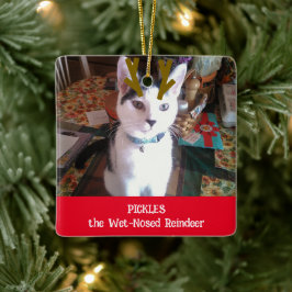 Ditt Pet-objekt för Blöten Nposed Reindeer Pet Pho Julgransprydnad Keramik