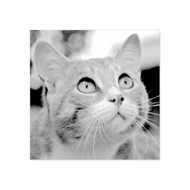 Ditt sällskapsdjur | Uppehåll från foto | ANPASSNI Stämpel (Tryck)