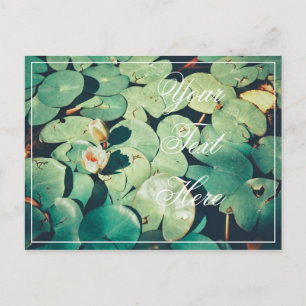 Ditt Text Gröna blad Vattenlilja Blomma Postkort Vykort