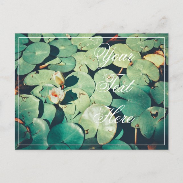 Ditt Text Gröna blad Vattenlilja Blomma Postkort Vykort (Framsida)