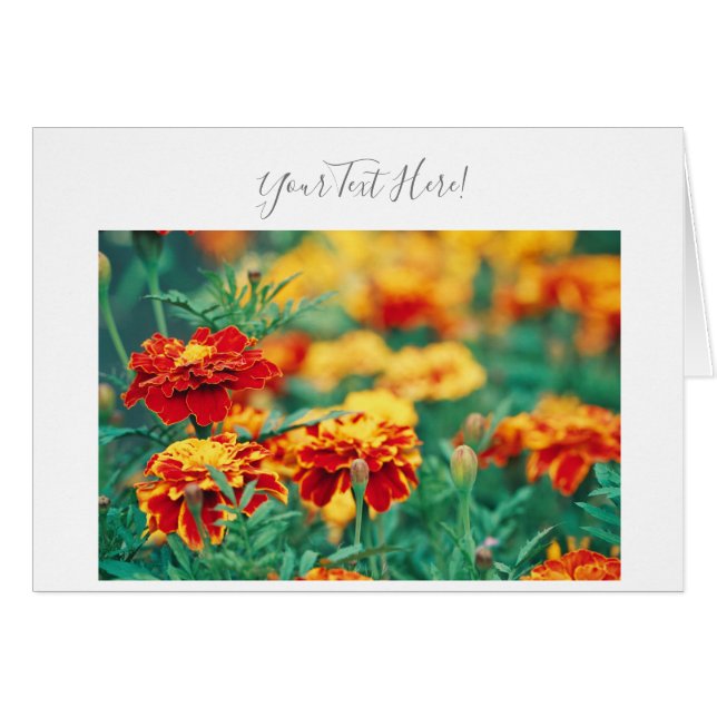 Ditt Text Vackra Marigoldblommor Grattiskort Hälsningskort (Framsidan Horizontal)