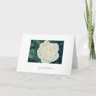 Ditt textglansfulla Vit ros-kort för blommande häl Kort