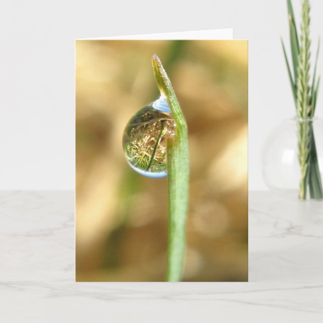 Ditt värld vända uppochnervända kort (Framsida)