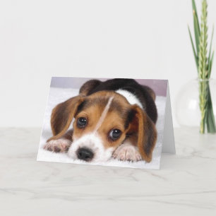 Ditzy Dogs~Beagle hälsningkort Kort