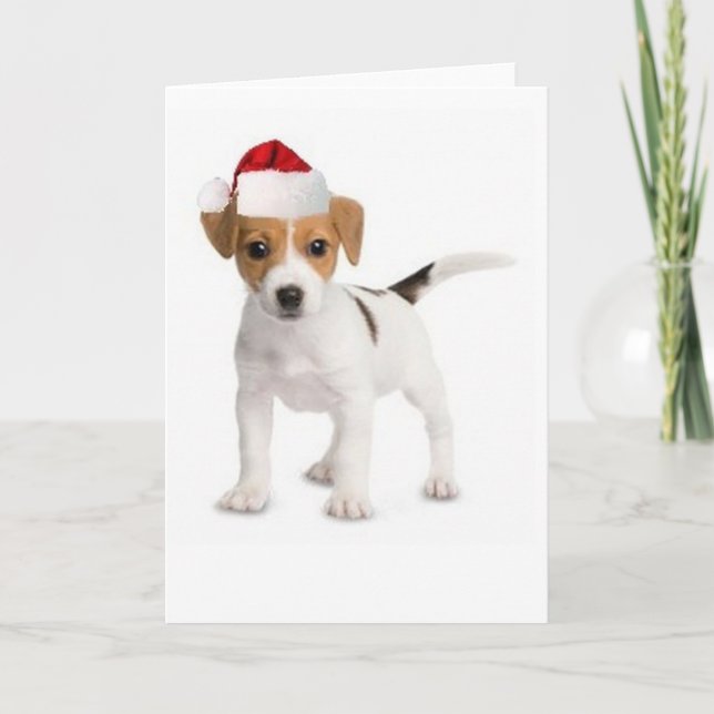 Ditzy Dogs~Original hälsning Card~Jack Russell Helgkort (Framsida)