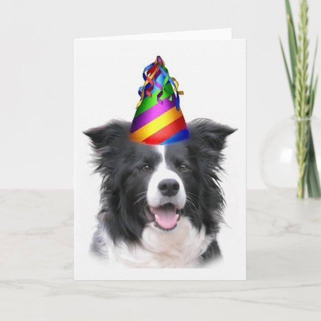 Ditzy Dogs~Original Notecard~Border Collie~B'day Kort (Framsida)