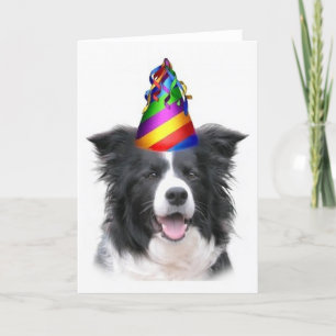 Ditzy Dogs~Original Notecard~Border Collie~B'day Kort