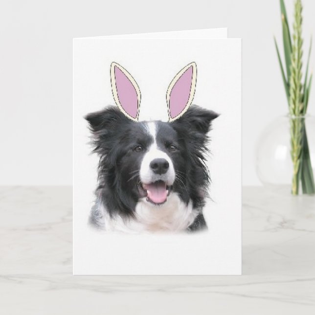 Ditzy Dogs~Original Notecard~Border Collie~Easter Helgkort (Framsida)