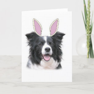 Ditzy Dogs~Original Notecard~Border Collie~Easter Helgkort