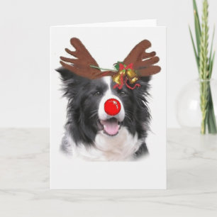 Ditzy Dogs~Original Notecard~Border Collie Helgkort