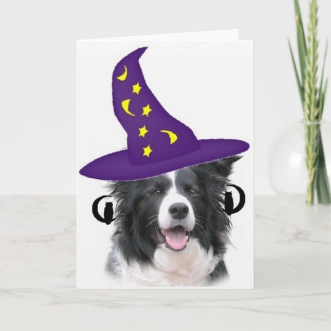 Ditzy Dogs~Original Notecard~Border Collie Kort (Framsida)