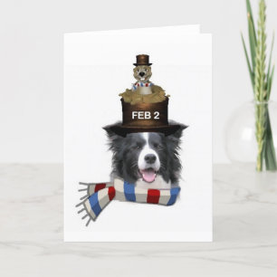 Ditzy Dogs~Original Notecard~Border Collie Kort