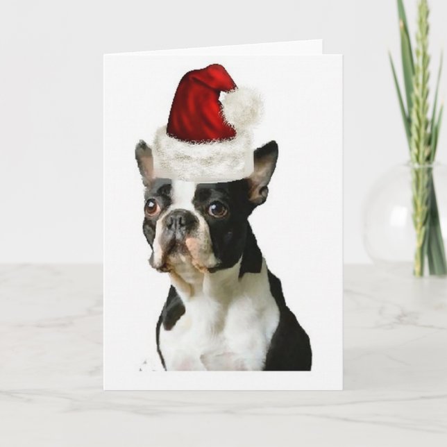 Ditzy Dogs~Original Notecard~Boston Terrier Helgkort (Framsida)