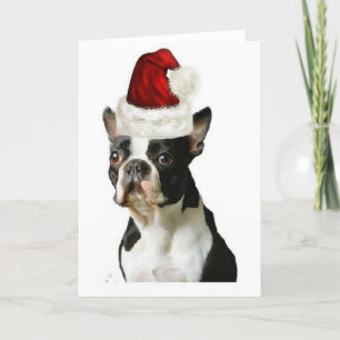 Ditzy Dogs~Original Notecard~Boston Terrier Helgkort