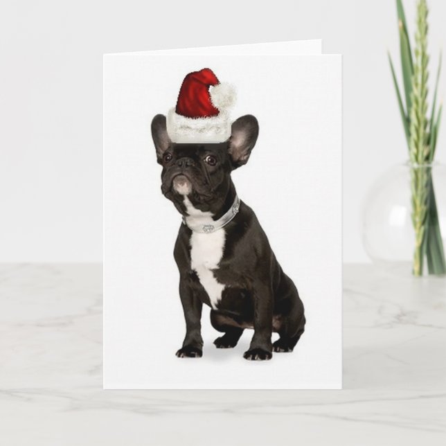 Ditzy Dogs~Original Notecard~French bulldogg Helgkort (Framsida)