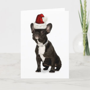 Ditzy Dogs~Original Notecard~French bulldogg Helgkort