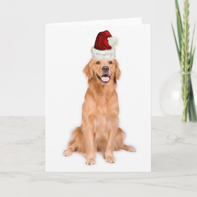 Ditzy Dogs~Original Notecard~Golden Retriever Helgkort (Framsida)
