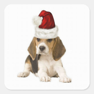 Ditzy Dogs~Original Sticker~Beagle~Christmas Fyrkantigt Klistermärke