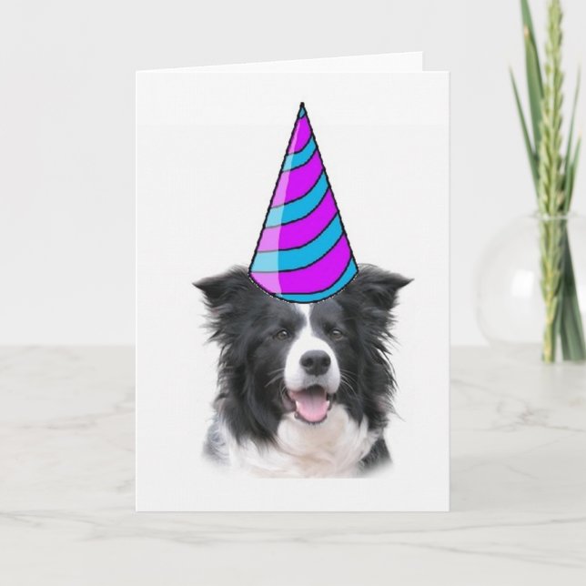 Ditzy Hundar~Greeting Card~Gräns Collie Birthday Kort (Framsida)
