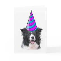 Ditzy Hundar~Greeting Card~Gräns Collie Birthday