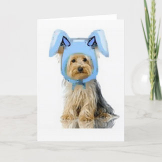 Ditzy Hundar~Original Notecard~Yorkie Helgkort