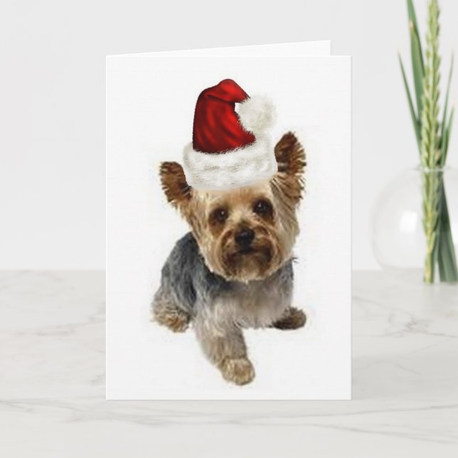 Ditzy Hundar~Original Notecard~Yorkie~Jul Helgkort (Framsida)