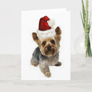 Ditzy Hundar~Original Notecard~Yorkie~Jul Helgkort