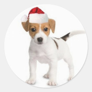 Ditzy Hundar~Original Sticker~Jack Russell Terrier Runt Klistermärke