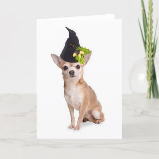 Ditzy Hundar~Ursprungligt Greetomg-kort~Chihuahua Kort