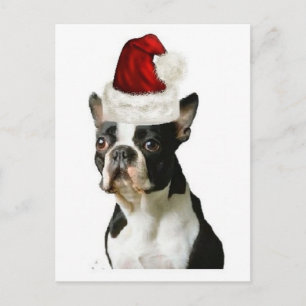 Ditzy Hundar~Ursprungligt vykort~Boston Terrier Vykort