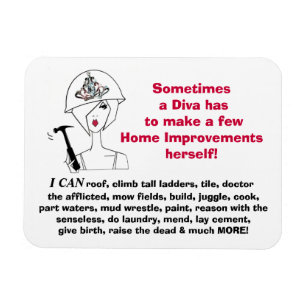 "Diva gör hemförbättring själv.." Magnet