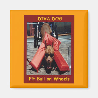 DIVA HUND Chillin'Kylmagnet Magnet