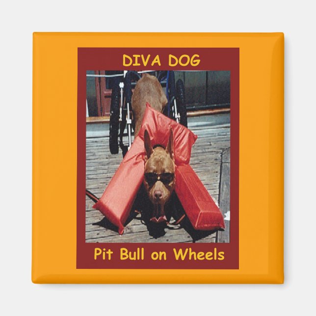 DIVA HUND Chillin'Kylmagnet Magnet (Framsidan)