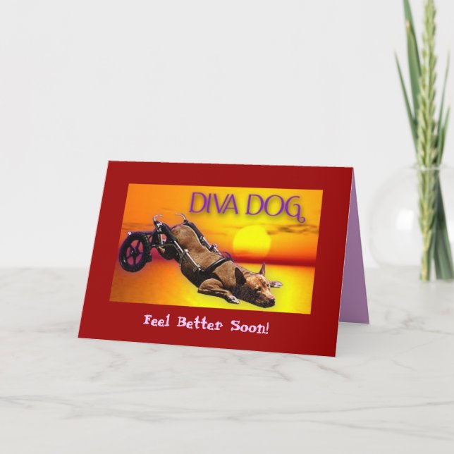 DIVA HUND "Känn bättre snart!" Kort för hälsning (Framsida)