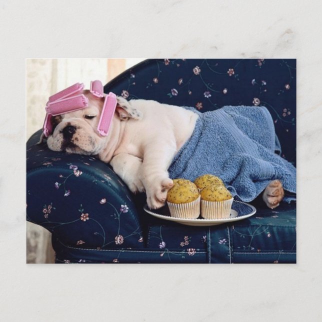 Diva i Skapar Vykort (Framsida)