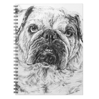 DIVA Lilybug Anteckningsbok