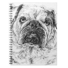 DIVA Lilybug Anteckningsbok