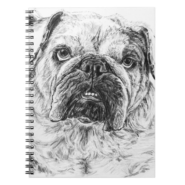 DIVA Lilybug Anteckningsbok (Framsidan)