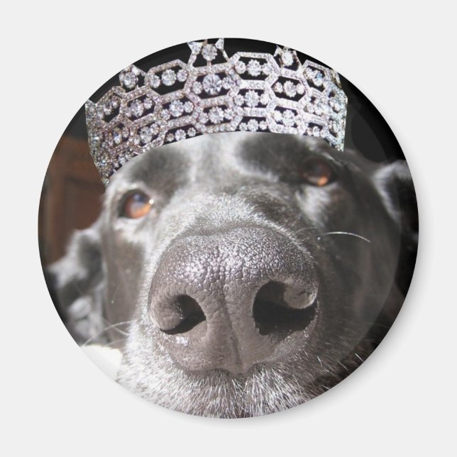 Diva magnet (Framsidan)