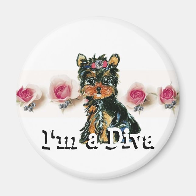 Diva Magnet (Framsidan)