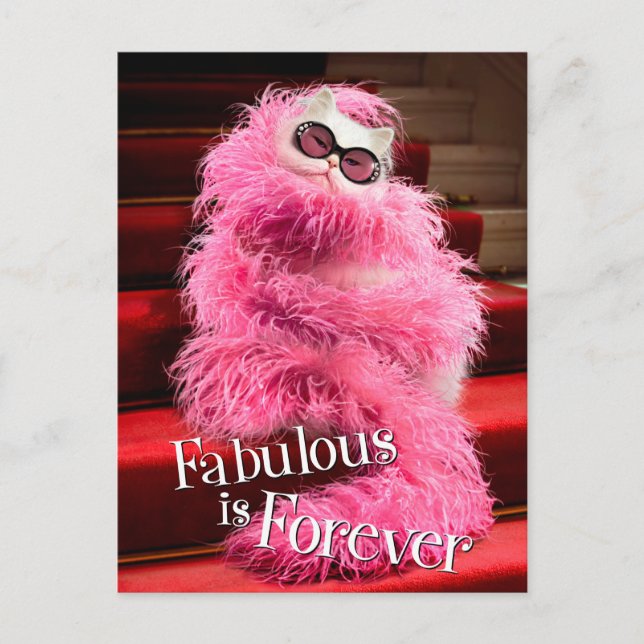 Diva White Cat Wrapped in Rosa Boa on Red Carpet Vykort (Framsida)