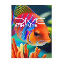 Dive Bahamas Orange - Plananner